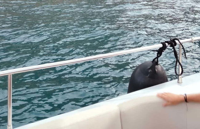 Balade en bateau avec dégustation de moules - Photo 1