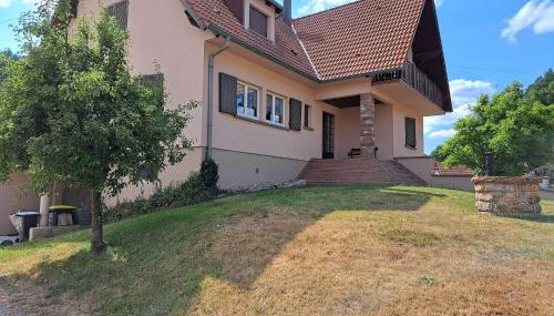 Holiday Home in Reipertswiller Near Castle - Foto 1