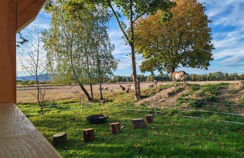 BAJKA-Domek na wsi - Foto 14