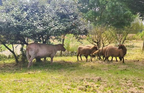 Le Cottage Bien-Etre Jacuzzi Piscine Chauffée Privée du Tarn entre Toulouse et Albi & Les Cottages du Tarn - Foto 63