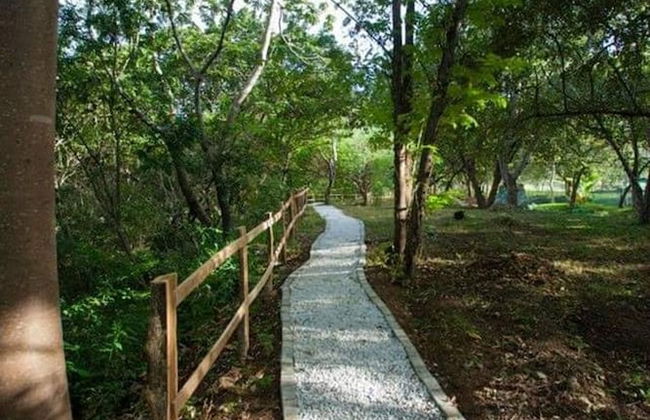 The Oaks Tamarindo Condominiums - Photo 51