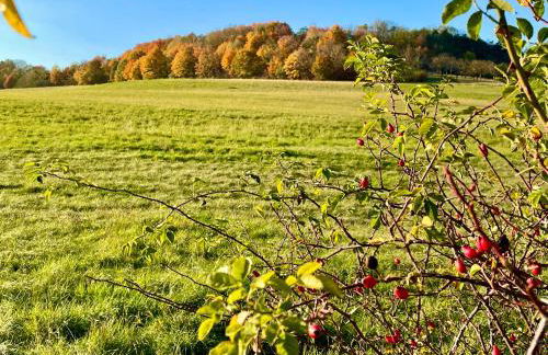 Ferienwohnung im Himmelreich - Foto 17