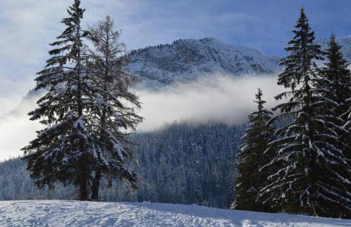 Ciasa Andy - Foto 20