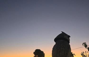 Villa Naranjos - Sauna - Jacuzzi - Gym - BBQ - Foto 38