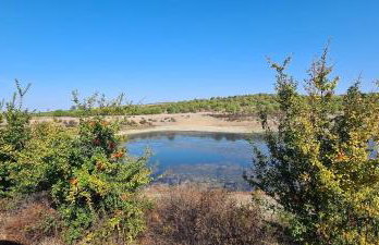 Casas do Monte - Foto 30