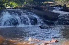 Aconchego da Jandaia - Foto 34