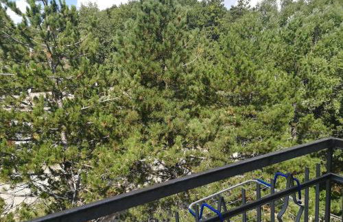 Da Santina - Photo 1