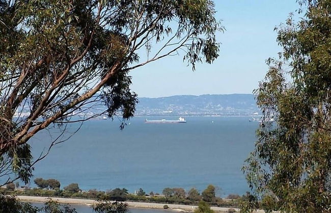 Marbella Lane 3BR Penthouse Executive Suite SFO - Foto 61