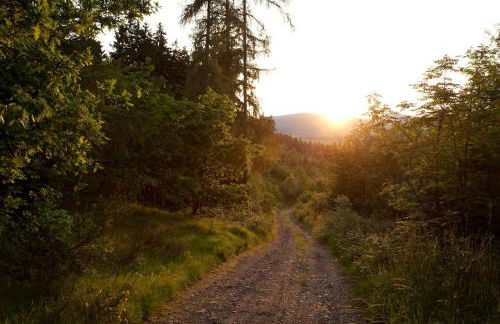 Family home with sauna, 12p - Foto 48