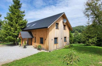 Dom Wakacyjny Brzozowy Gaj Bieszczady - Foto 1