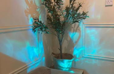 Valentinez Properties - Apart Hotel with a garden in Liverpool - Foto 15