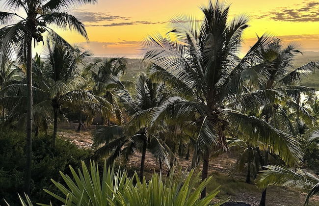 Villa Palmeira - Foto 70