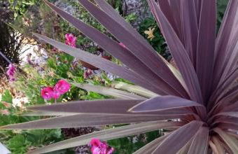 CASA NA ALDEIA - Foto 46