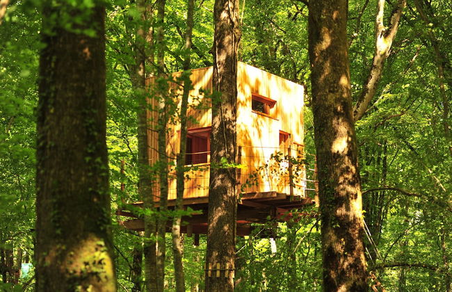 Cabanes de l'Espace Fouletot - Foto 36