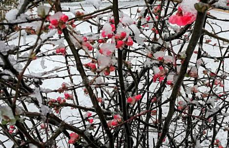 Villa Gaia Trikala - Foto 24