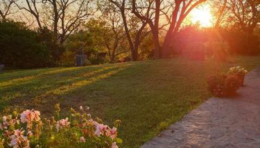 Agriturismo Sa Tanca - Foto 4, Garden