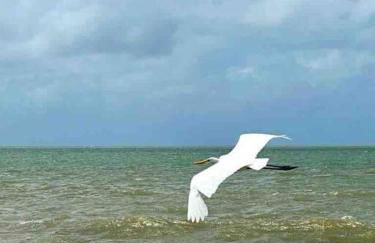 Casa à beira mar com piscina em Itamaracá - Foto 31