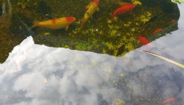 Ferienwohnung Rockenbach - Foto 2