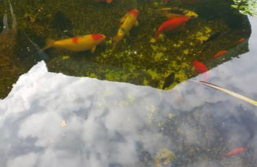 Ferienwohnung Rockenbach - Foto 2