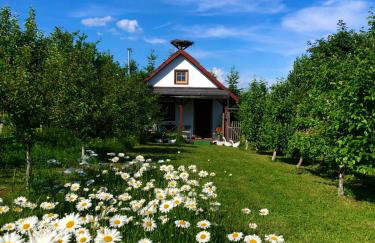 Domek przy Azylu Bocianim - Foto 14