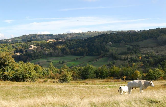Agriturismo La Piaggia Vivo D'orcia - "once Upon a Time" Apartment - 3 Guests - Foto 12