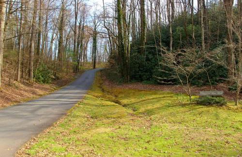 River Rock Cabin - Comfortable, Private Home with King Beds & Mountain Views - Foto 44