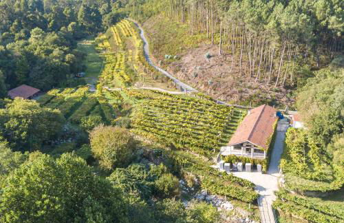 Entre Os Ríos - Casa Rural y Enoturismo - Foto 32