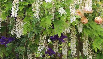 Gite Kergroix en Carnac - Foto 5