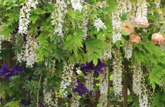 Gite Kergroix en Carnac - Foto 5