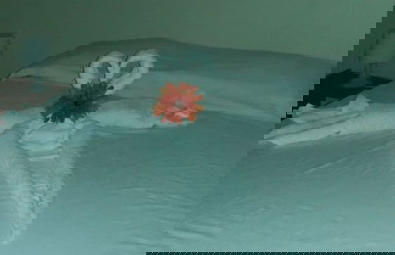 La Cruz de Colon Guest House - Photo 11