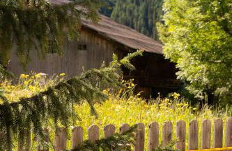 Residence Barbara - Foto 13