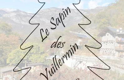 Le Sapin des Vuillermin CIR0080 - Photo 13