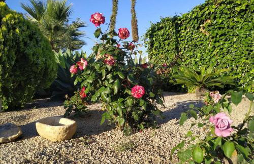 Casa Lorena - Foto 4