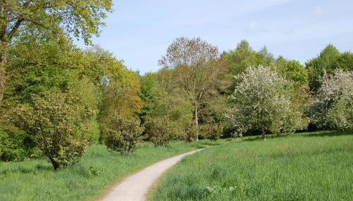 Ferienwohnung_Beethovenstrasse - Foto 2