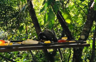 Apartamento Messi Assú Praia dos Milionários - Photo 21