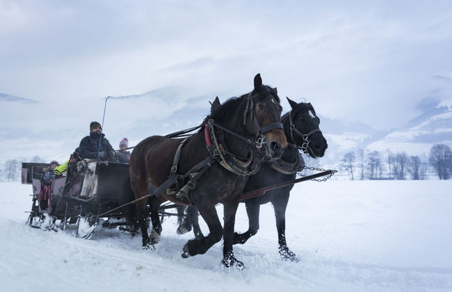 Superior # 4C mit Sauna - Foto 30