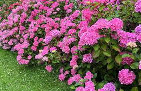 La Moutinière, luxury cottage with pool - Foto 78