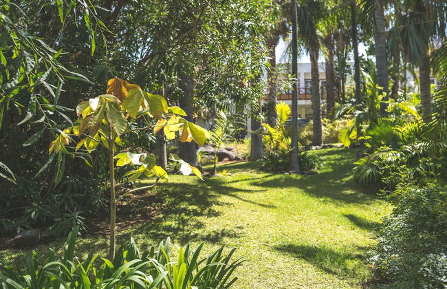 Hacienda San Jorge - Foto 76