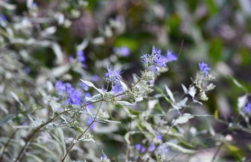 The Outlook - Pet Friendly, Grill, Wifi, View, Fire Pit, Deck, Family Friendly, Foosball, Game Room, King Bed, Fireplace - Photo 75