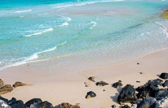 Apartamento Verdemare - Photo 54