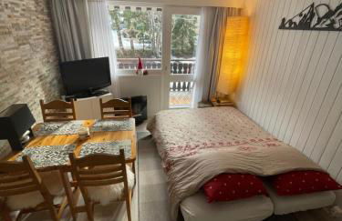 Cosy 2 pièces proche Châtel - Foto 11