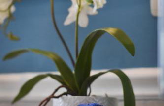 Ulivo Apartment - Foto 24