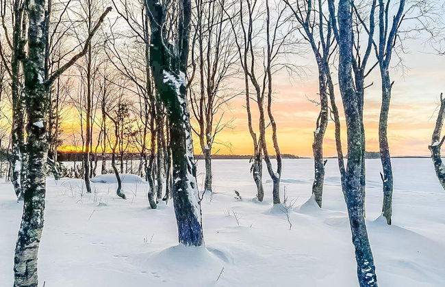 Villa rukan kesäniemi - Foto 13