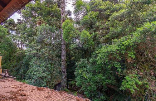 Linda casa em Canela - Jardim, Lareira e Conforto! - Foto 48