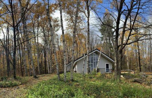 Classic VT Aframe - Minutes to Mountains - Foto 30