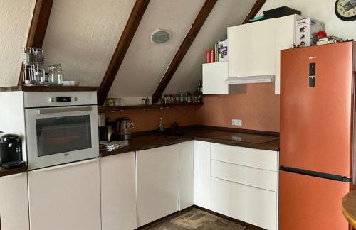 Elbblick Schnackenburg - Foto 4