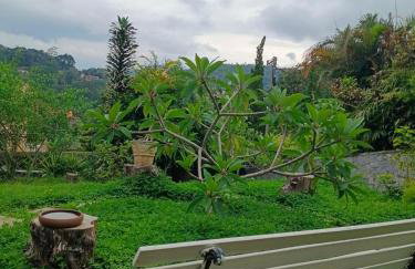 Studio Andaluz - Foto 17