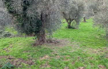 Casa Elena - Foto 29