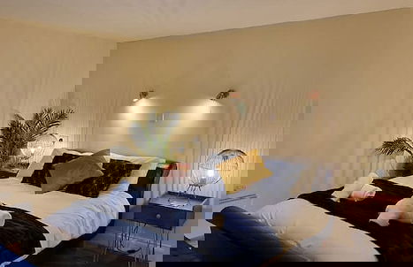 Lily Pad by Paymán Club - Foto 2