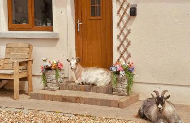 Greenvale Cabins - Foto 32